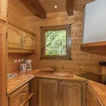 In Vosges Forest With Valley View