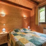 In Vosges Forest With Valley View