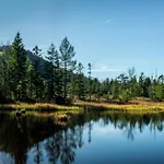 In Vosges Forest With Valley View *