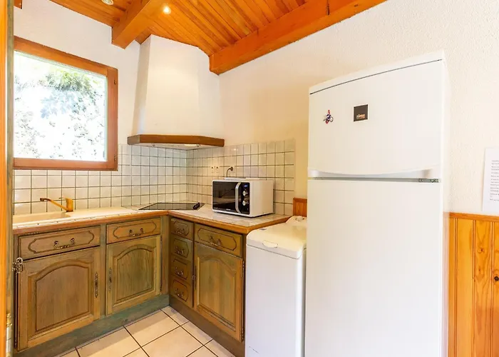 In Vosges Forest With Valley View *