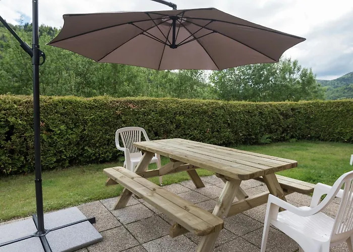 In Vosges Forest With Valley View