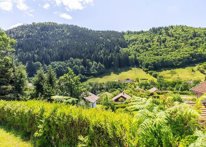 In Vosges Forest With Valley View * La Bresse